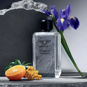 Bentley Momentum Unbreakable Eau De Parfum For Men 100ML - Image 2
