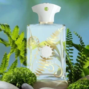 Amouage Bracken Eau De Parfum 100ML For Men - Image 3