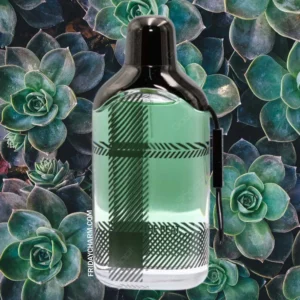 Burberry The Beat Eau De Toilette For Men 100ML - Image 3
