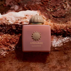 Amouage Guidance Eau De Parfum 100ML For Unisex - Image 3