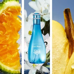 Davidoff Coolwater Street Fighter Eau De Toilette 100ML For Women - Image 3